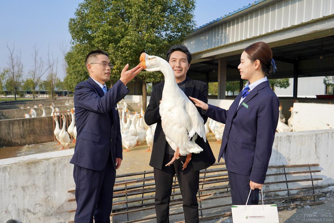 ʮ���ط绪��ï һ����������������ʴ����������з��г���ʮ������дʵ��һ��